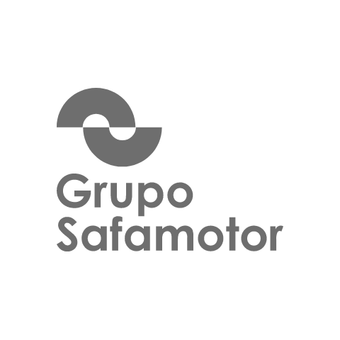 Grupo Safamotor